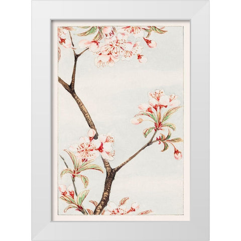 Sakura cherry White Modern Wood Framed Art Print by Morikaga, Megata