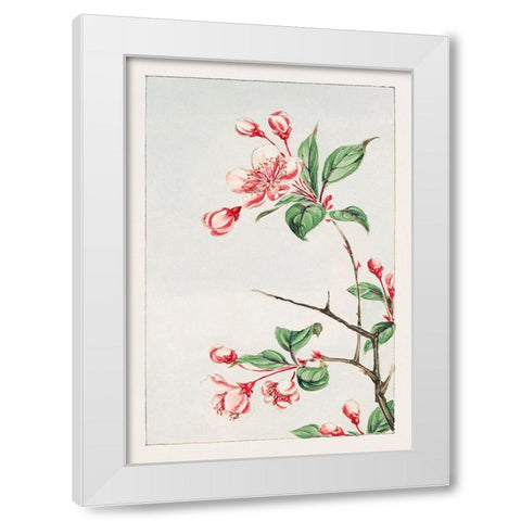 Kaido pyrus spectabalis White Modern Wood Framed Art Print by Morikaga, Megata