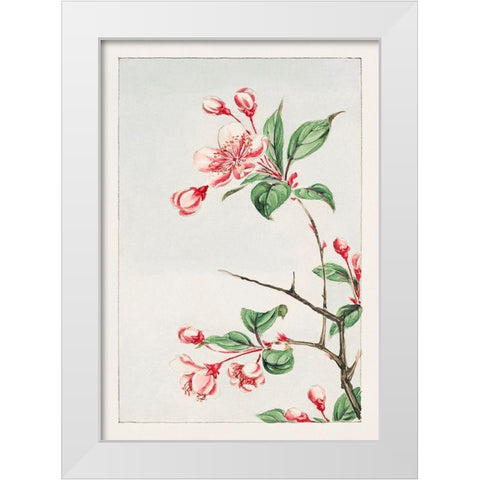 Kaido pyrus spectabalis White Modern Wood Framed Art Print by Morikaga, Megata