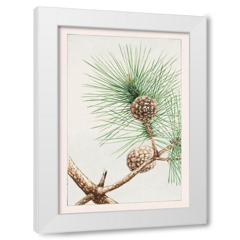Matsu pine White Modern Wood Framed Art Print by Morikaga, Megata