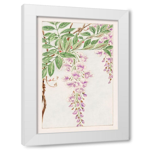 Wisteria vine with leaves and blossoms White Modern Wood Framed Art Print by Morikaga, Megata