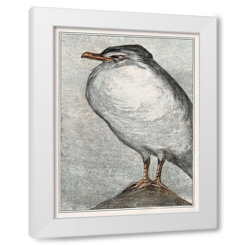 Herring Gull White Modern Wood Framed Art Print by Hoytema, Theo van
