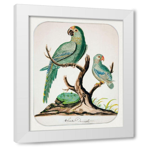 Two Parrots on a Barren Tree White Modern Wood Framed Art Print by Demuth, Charles