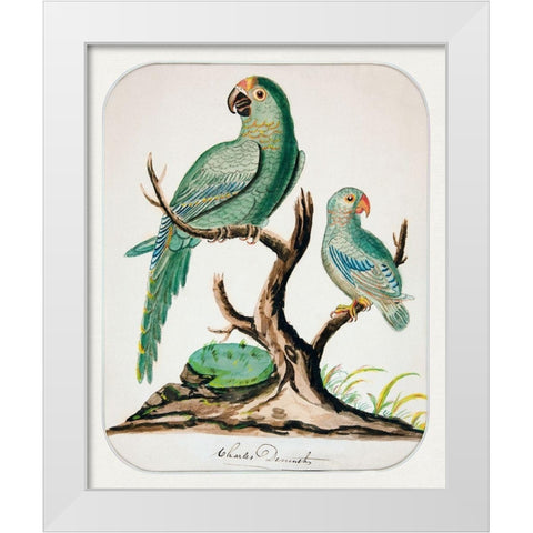 Two Parrots on a Barren Tree White Modern Wood Framed Art Print by Demuth, Charles