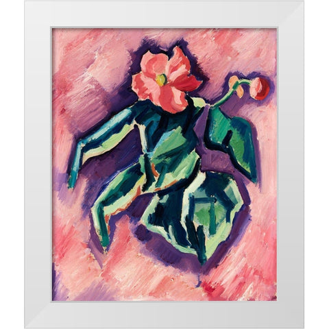 Pink Begonias White Modern Wood Framed Art Print by Hartley, Marsden