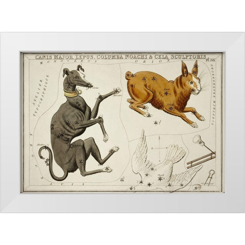 Astronomical chart illustration of the Canis Major-Lepus-Columba Noachi and the Cela Sculptoris White Modern Wood Framed Art Print by Hall, Sidney