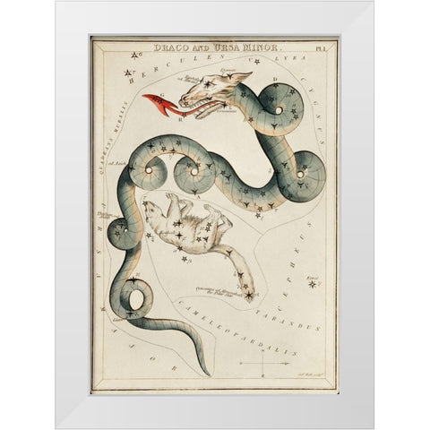 Astronomical chart illustration of the Draco and the Ursa Minor White Modern Wood Framed Art Print by Hall, Sidney