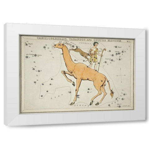 Astronomical chart illustration of the Camelopardalis-Tarandus and the Custos Messium White Modern Wood Framed Art Print by Hall, Sidney
