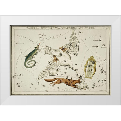 Astronomical chart illustration of the Lacerta-Cygnus-Lyra-Vulpecula and the Anser White Modern Wood Framed Art Print by Hall, Sidney