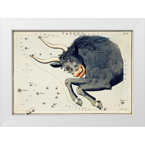 Astronomical chart illustration of the Taurus White Modern Wood Framed Art Print by Hall, Sidney