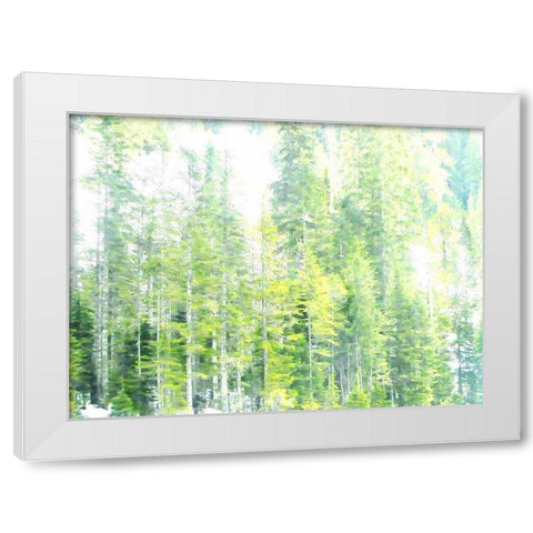 Growth White Modern Wood Framed Art Print by Ghanooni, Sarah