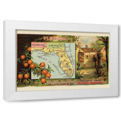 Florida White Modern Wood Framed Art Print by Arbuckle Brothers