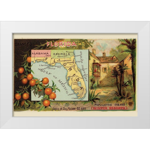Florida White Modern Wood Framed Art Print by Arbuckle Brothers