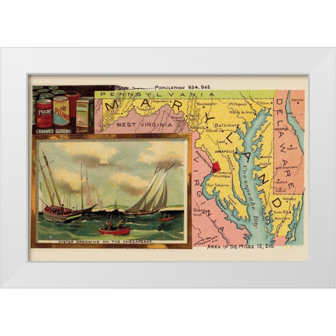 Maryland White Modern Wood Framed Art Print by Arbuckle Brothers