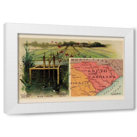 South Carolina White Modern Wood Framed Art Print by Arbuckle Brothers
