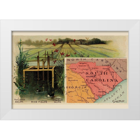 South Carolina White Modern Wood Framed Art Print by Arbuckle Brothers