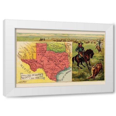 Texas White Modern Wood Framed Art Print by Arbuckle Brothers