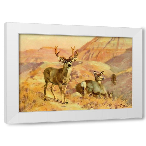 Deer in Montana White Modern Wood Framed Art Print by Rungius, Carl
