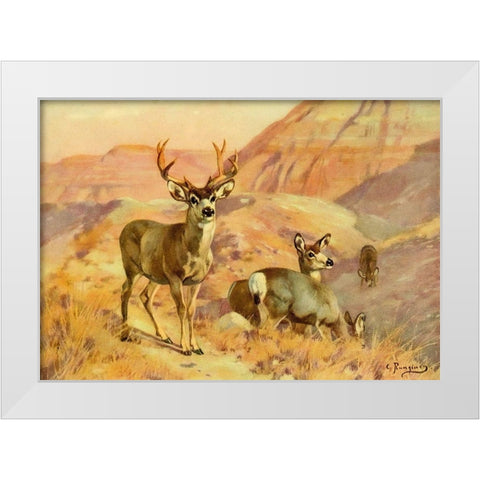 Deer in Montana White Modern Wood Framed Art Print by Rungius, Carl