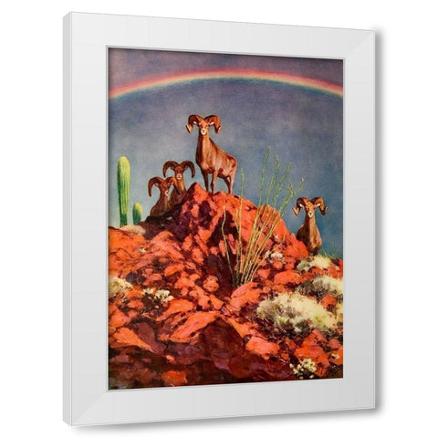 Bighorn Sheep on Rocks White Modern Wood Framed Art Print by Rungius, Carl