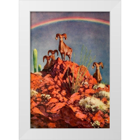 Bighorn Sheep on Rocks White Modern Wood Framed Art Print by Rungius, Carl