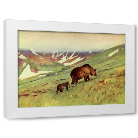 Bears walking in Basin White Modern Wood Framed Art Print by Rungius, Carl