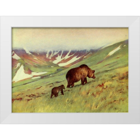 Bears walking in Basin White Modern Wood Framed Art Print by Rungius, Carl