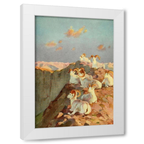 On the Precipice White Modern Wood Framed Art Print by Rungius, Carl