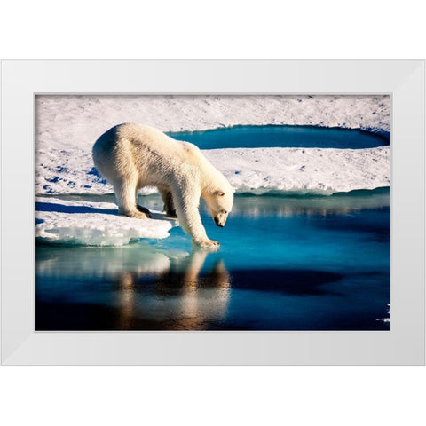 Polar Bear White Modern Wood Framed Art Print by NASA