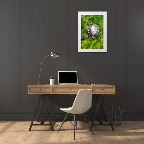 Green Sea Turtle White Modern Wood Framed Art Print by NASA