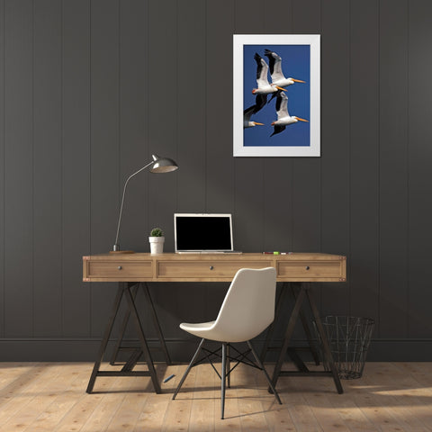 Flock of White Pelicans White Modern Wood Framed Art Print by NASA