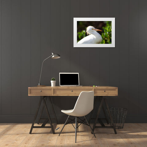 Snowy Egret White Modern Wood Framed Art Print by NASA