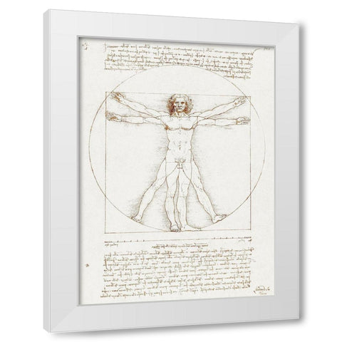 Vitruvian Man White Modern Wood Framed Art Print by da Vinci, Leonardo