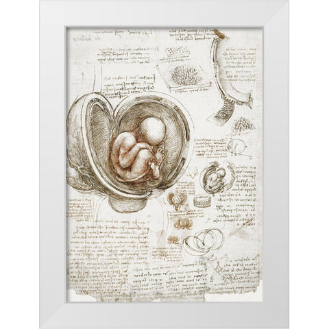 Studies of the Foetus in the Womb White Modern Wood Framed Art Print by da Vinci, Leonardo