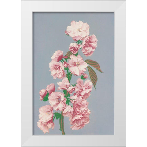 Cherry Blossom White Modern Wood Framed Art Print by Kazumasa, Ogawa