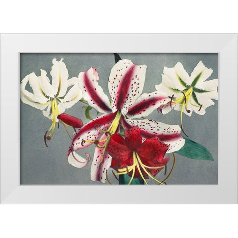 Lily X White Modern Wood Framed Art Print by Kazumasa, Ogawa