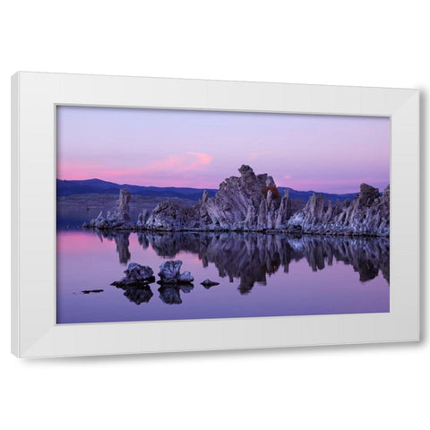 Mono Lake White Modern Wood Framed Art Print by Highsmith, Carol