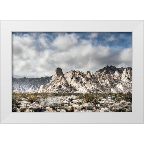 Providence Mountains Mojave National Preserve California White Modern Wood Framed Art Print by Highsmith, Carol