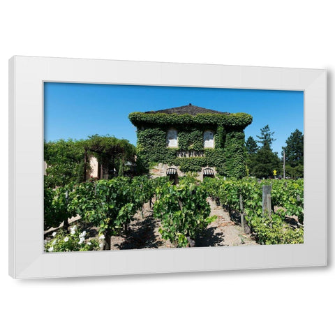 California Vineyards White Modern Wood Framed Art Print by Highsmith, Carol