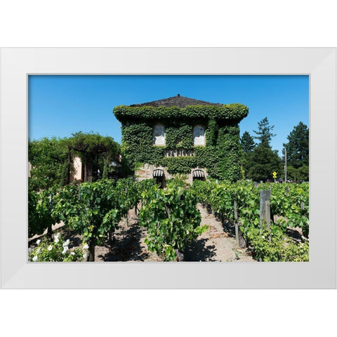 California Vineyards White Modern Wood Framed Art Print by Highsmith, Carol