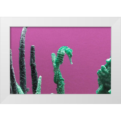 Seahorse at The Monterey Bay Aquarium in Monterey-California White Modern Wood Framed Art Print by Highsmith, Carol