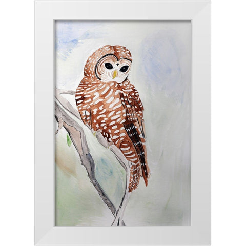 Northern Spotted Owl White Modern Wood Framed Art Print by Derr, Wynn