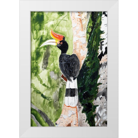 Rhinoceros Hornbill White Modern Wood Framed Art Print by Derr, Wynn