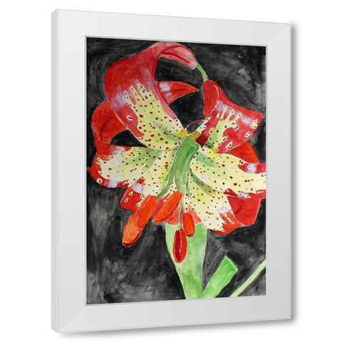 Western Lily White Modern Wood Framed Art Print by Derr, Wynn