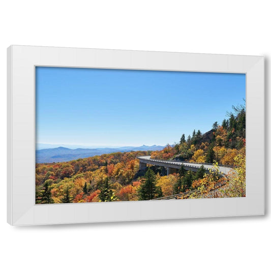 Perspective Image