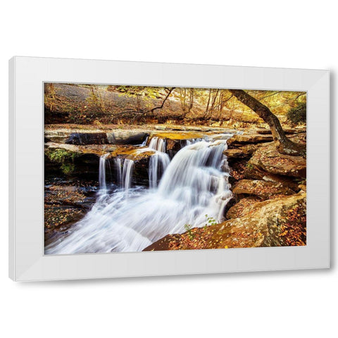 Dunloup Falls Thurmond-Fayette County-West Virginia White Modern Wood Framed Art Print by Highsmith, Carol