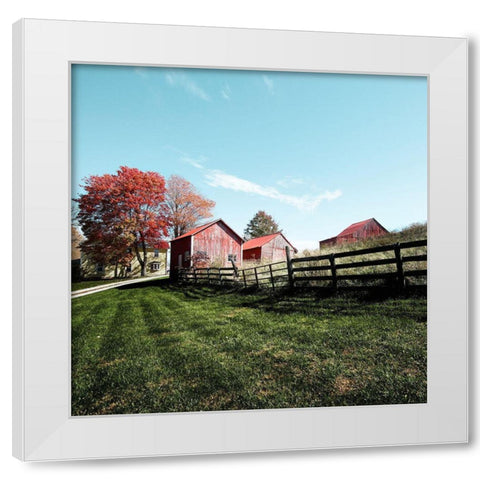 Grouping of small barns in Monroe County White Modern Wood Framed Art Print by Highsmith, Carol