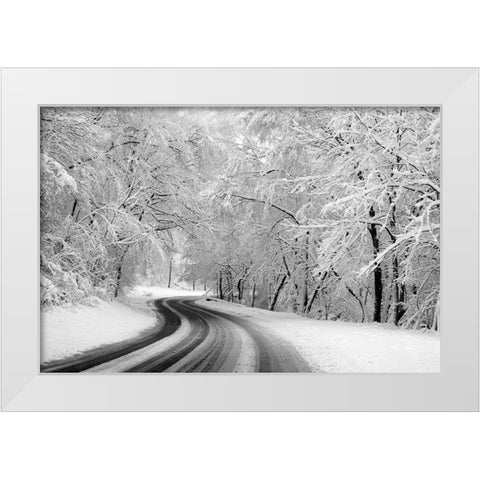 Rock Creek Park-Washington-D.C. White Modern Wood Framed Art Print by Highsmith, Carol