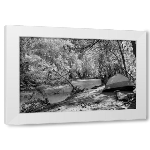 Havasu Creek Campground-Grand Canyon National Park White Modern Wood Framed Art Print by Highsmith, Carol