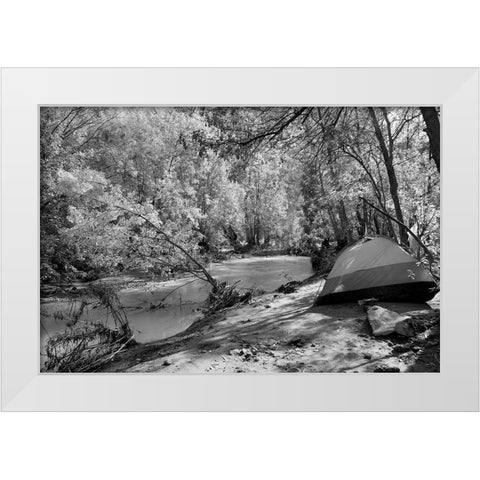 Havasu Creek Campground-Grand Canyon National Park White Modern Wood Framed Art Print by Highsmith, Carol
